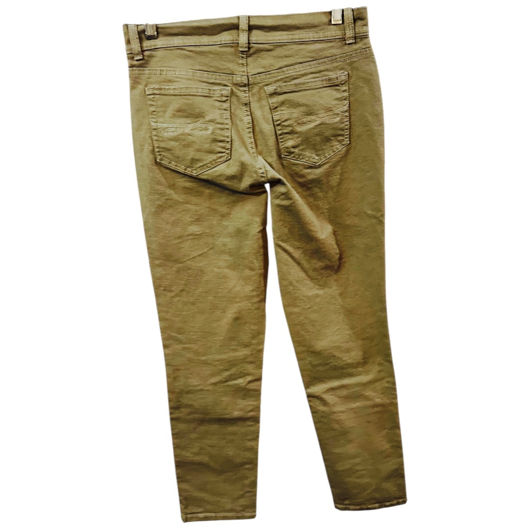 Style & Co Denim Jeans,Brown, 6P
